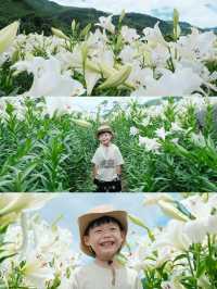 福州限定浪漫！呢片高過人嘅百合花海藏唔住啦～