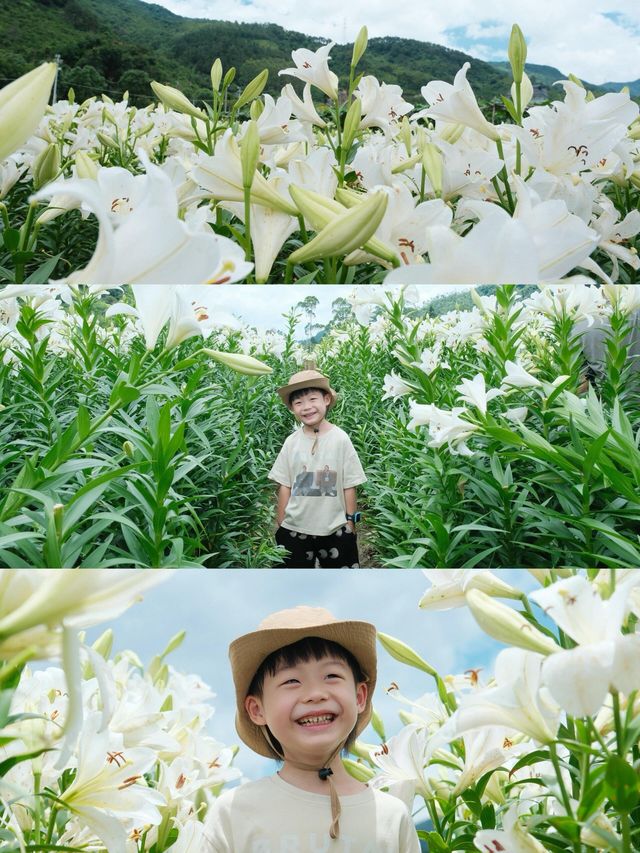 福州限定浪漫！呢片高過人嘅百合花海藏唔住啦～