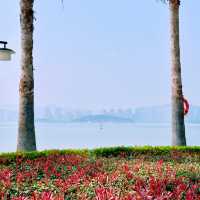 在漫畫般的海灣公園，閑逛，發呆，看日落