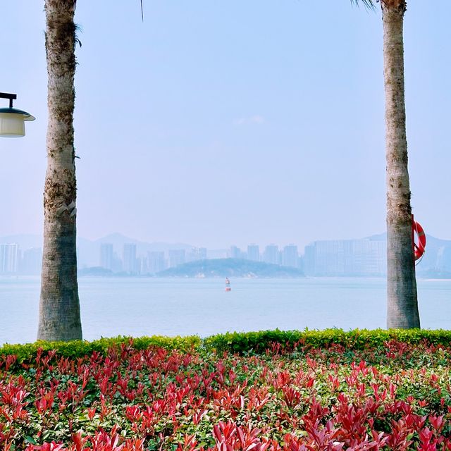 在漫畫般的海灣公園，閑逛，發呆，看日落