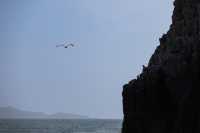 福建四礵列島｜現實版塞爾達！