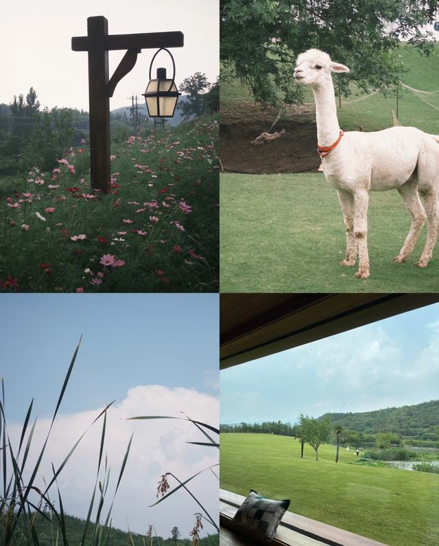 逃離城市計劃|奔赴京山農場，邂逅田園之夢