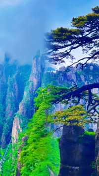 登黃山：一場與自然的靈魂對話