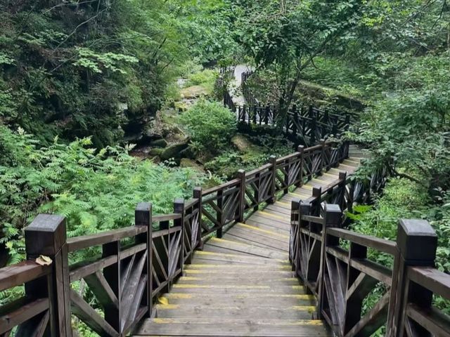 去咗4次五女峰國家森林公園，終於玩到明！