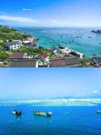 被枸杞島實力圈粉！上海周邊嘅神仙海島