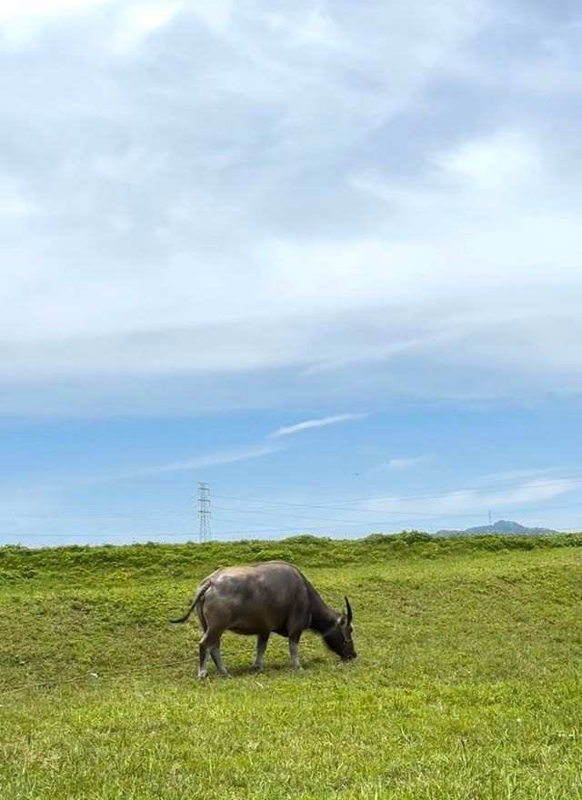 廣州1小時直達！絕美江邊露營地畀我搵到啦