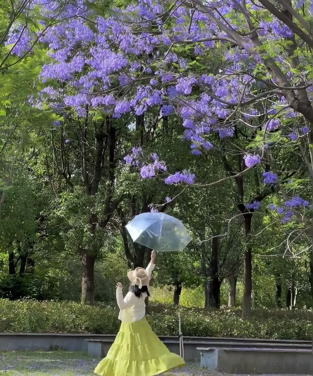 夏風、綠意、同免費嘅靚景係昆明嘅夏天