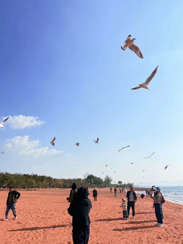 珠海出發｜雲南小眾避暑5日遊