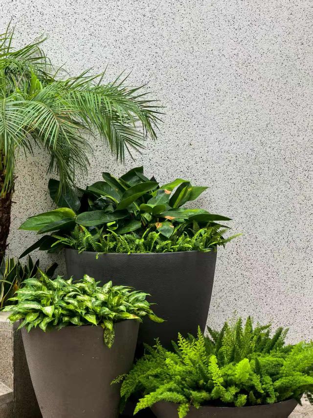 海南清水灣金普頓酒店 將自然搬入建築