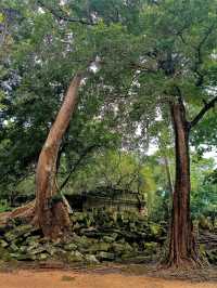 Banteay Samre: Angkor's Best-Kept Secret – Why This Hidden Temple Should Be on Your Bucket List