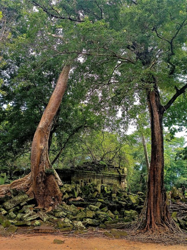 Banteay Samre: Angkor's Best-Kept Secret – Why This Hidden Temple Should Be on Your Bucket List