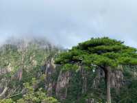 問道三清：雲海與奇石共舞之地