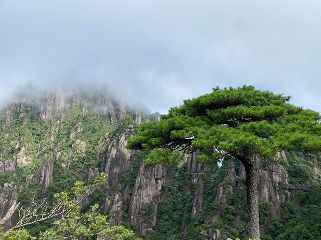 問道三清：雲海與奇石共舞之地