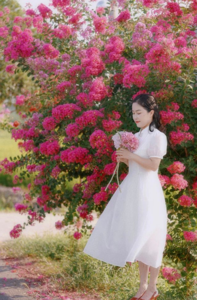 紫薇，獨佔芳菲當夏景，不將顏色託春風