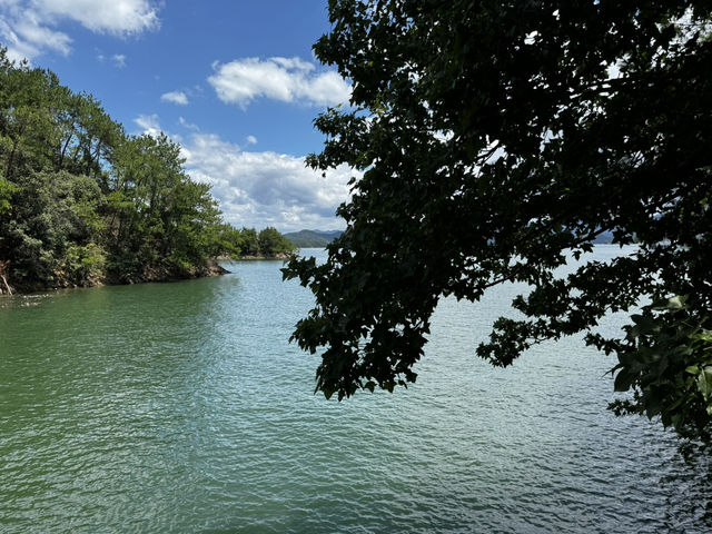 A summer paradise for kids and elderly
