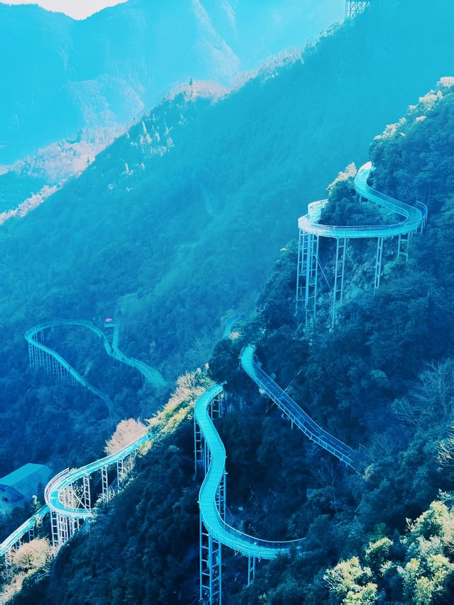 朋友圈都被問到爆