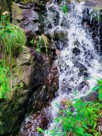 在湯池的溪澗找回25℃的夏天