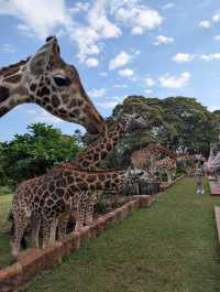 Unforgettable Stay at Giraffe Manor