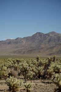 國慶出遊 | 5天穿越美西。