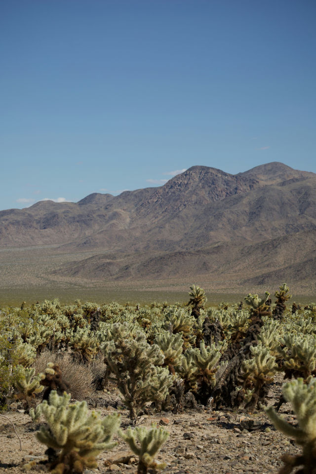 國慶出遊 | 5天穿越美西。