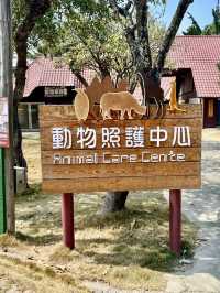 野性的詩篇——頑皮世界野生動物園