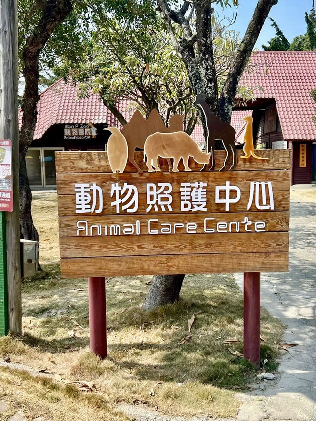 野性的詩篇——頑皮世界野生動物園