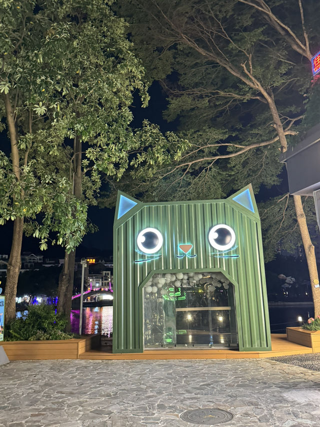 Beautiful lights around Dameisha 