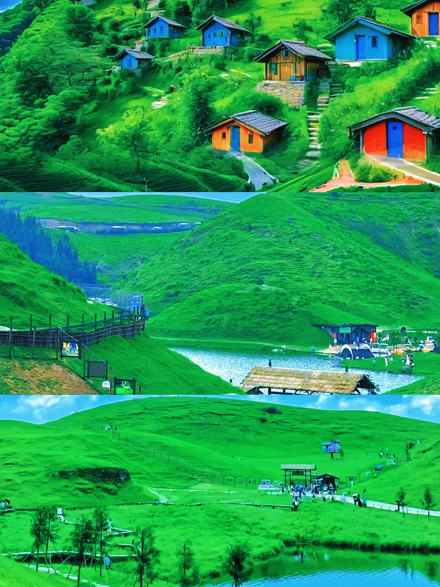 郴州仰天湖大草原
