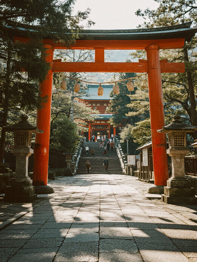 奈良東大寺手記｜在蓮花座下與唐朝的風重逢