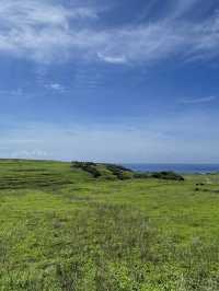 🌿 Dongji Island: Where Emerald Meadows Meet Endless Azure Skies! ☁️