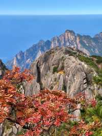 黃山歸來不看岳！這個絕美的地方值得一去再去