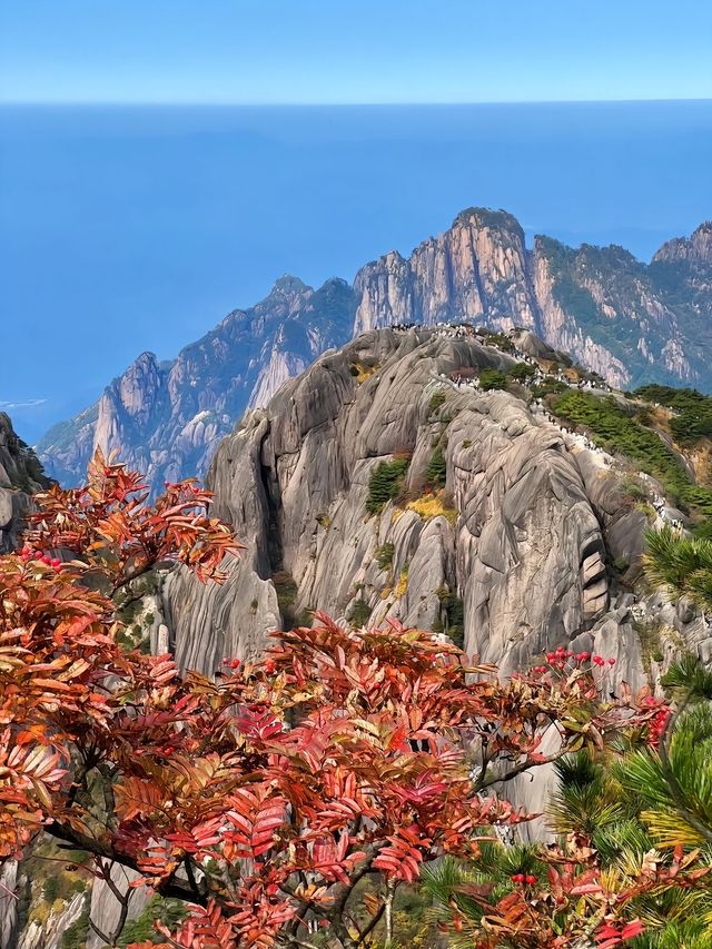 黃山歸來不看岳！這個絕美的地方值得一去再去