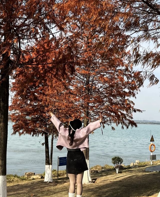 長沙松雅湖｜天涼好個秋，絕美濕地公園攻略