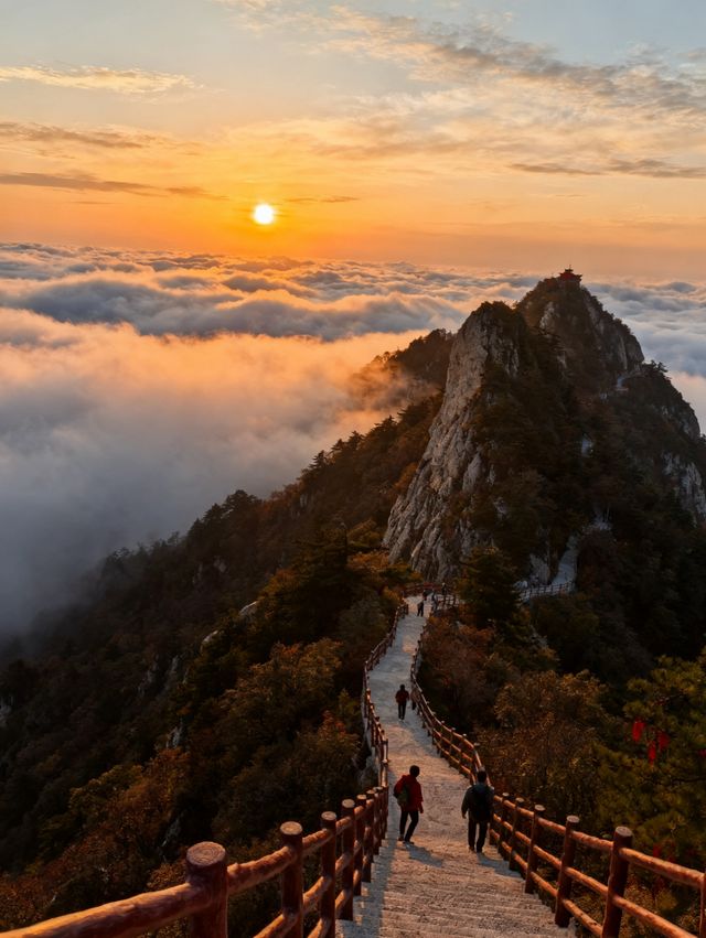 平頂山4日遊 | 堯山與中原大佛經典組合・全人群適配攻略