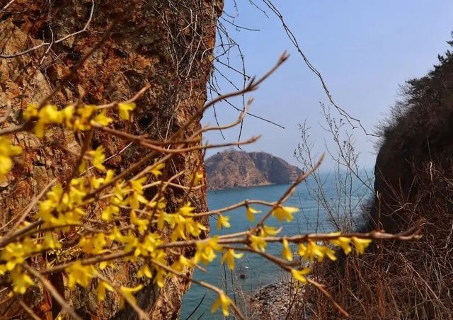 大連棒棰島實測：國賓級海景裡的避世與驚喜