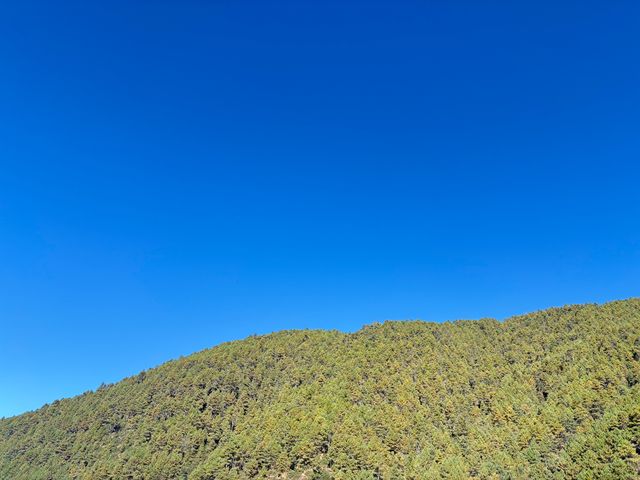 雲南香格里拉必去！普達措國家公園超全攻略