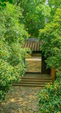 北寺塔賞蘇州全景絕佳