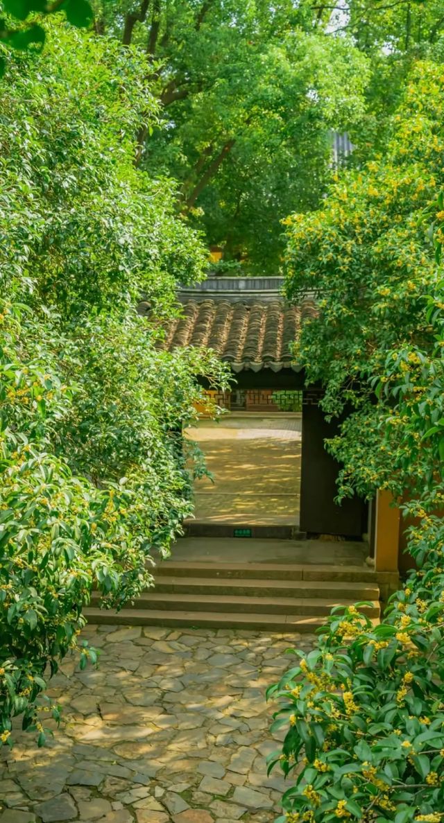 北寺塔賞蘇州全景絕佳