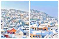 南方人的冬日狂想：2025-2026雪季廬山賞雪全攻略