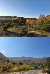 闖入秋天的油畫！木蘭圍場五道溝風景區
