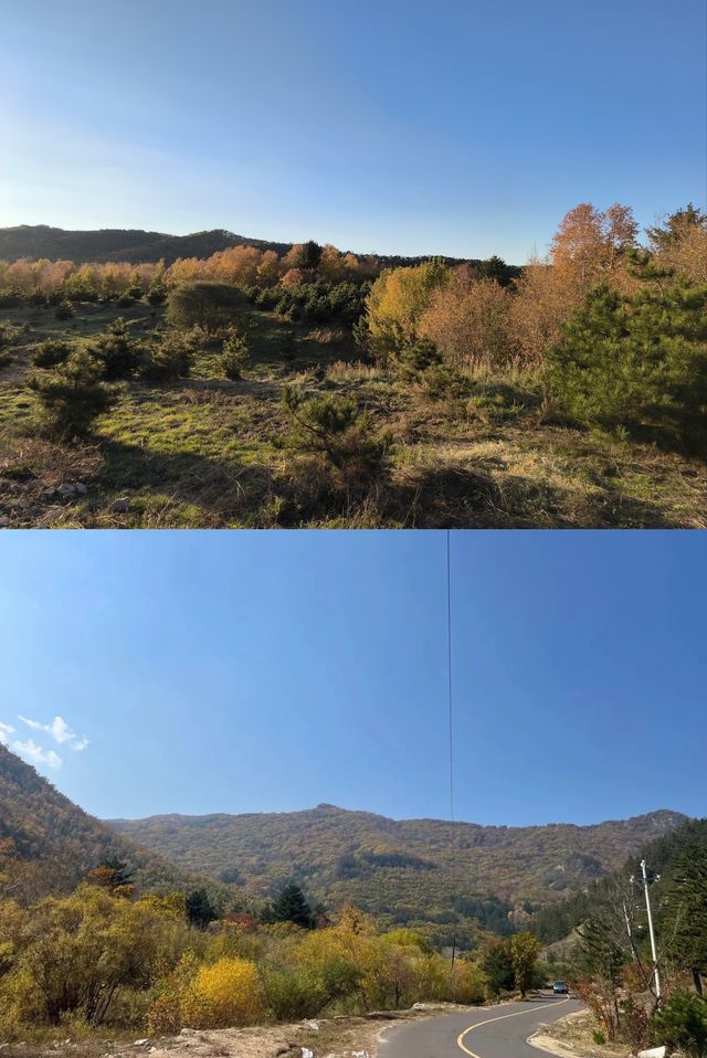 闖入秋天的油畫！木蘭圍場五道溝風景區
