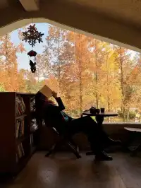 可惜你不來武漢，不知道東湖綠道秋天有多美！