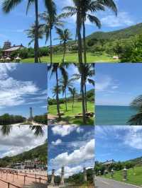 椰林海景拍攝聖地