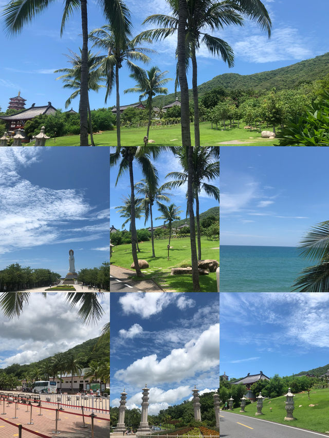 椰林海景拍攝聖地