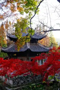 郊野園林第一家的習家池之秋太美囉！！