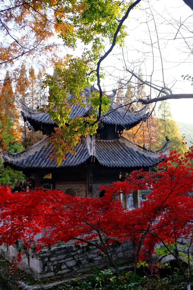 郊野園林第一家的習家池之秋太美囉！！