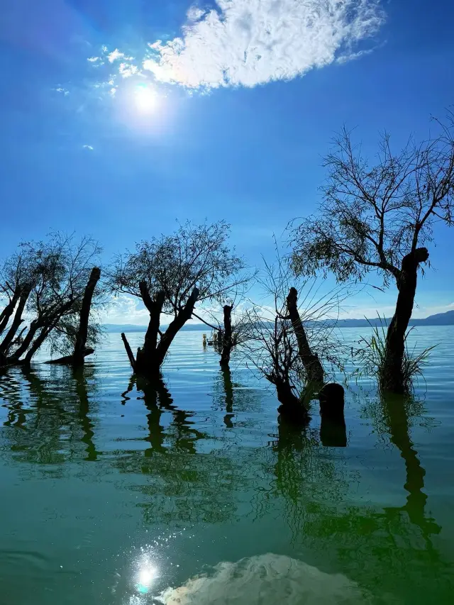 Yunnan's Most Beautiful Wetland Park