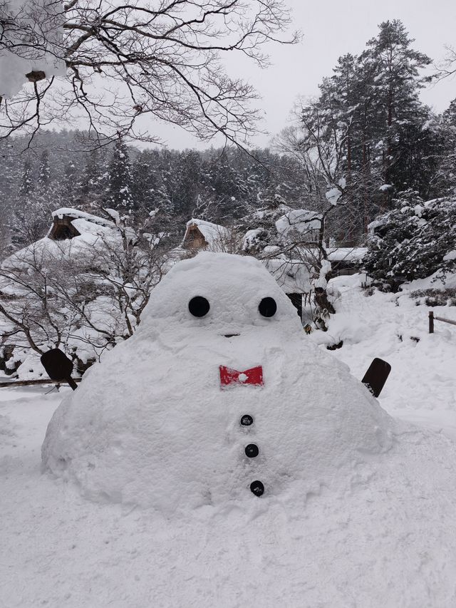 飛驒民俗村的那場大雪
