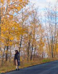 呼倫貝爾卡線:最美邊防公路名不虛傳