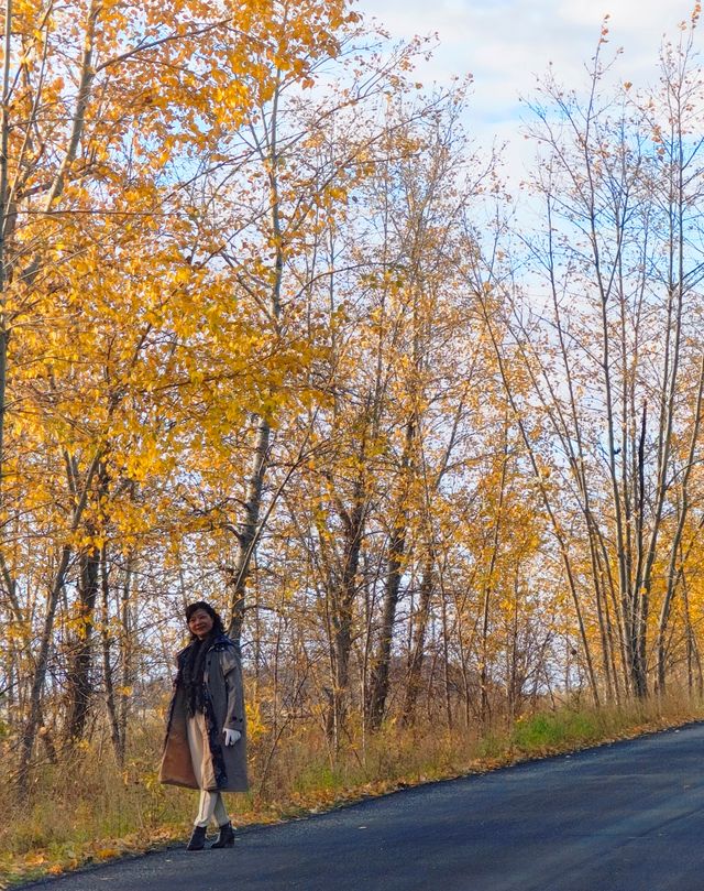 呼倫貝爾卡線:最美邊防公路名不虛傳